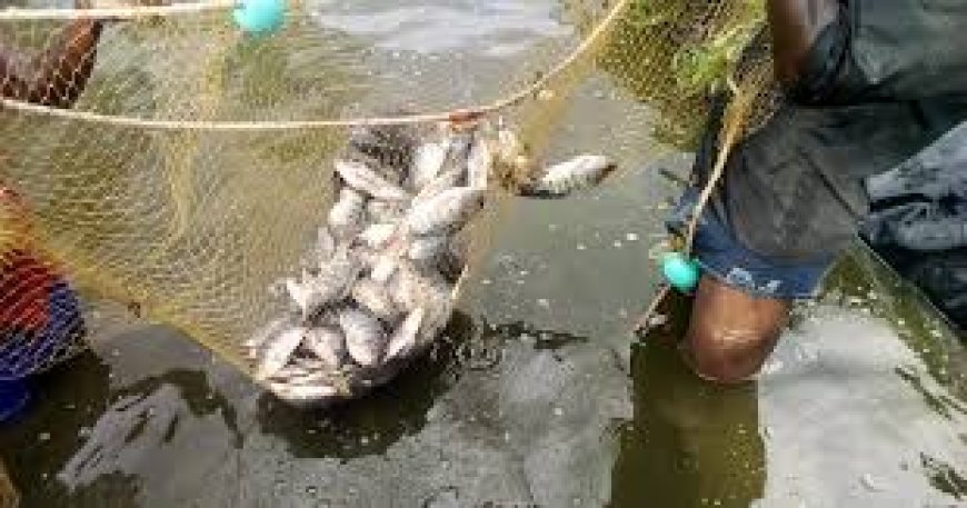 Regional Fisheries Institute to be constructed in Kakamega