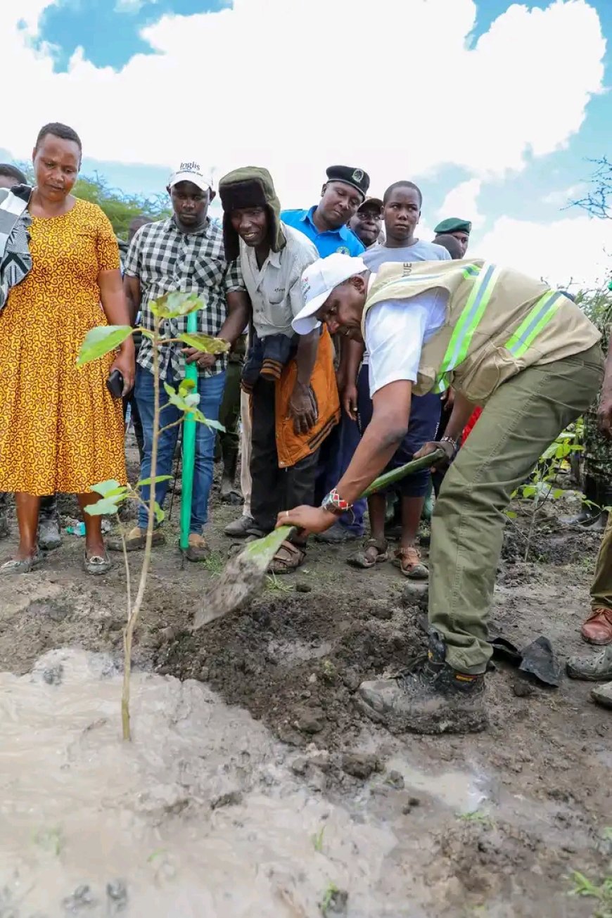 Makueni is on track to fighting Climate Change