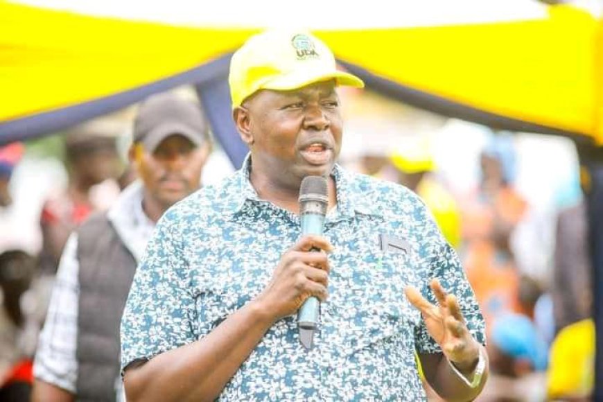 Leave opposition to others, Nyanza residents told