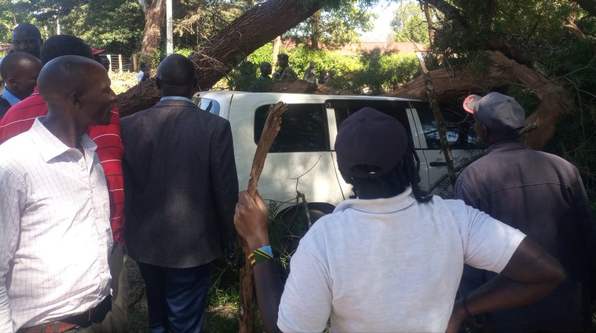 Man counts losses as tree falls on his parked car