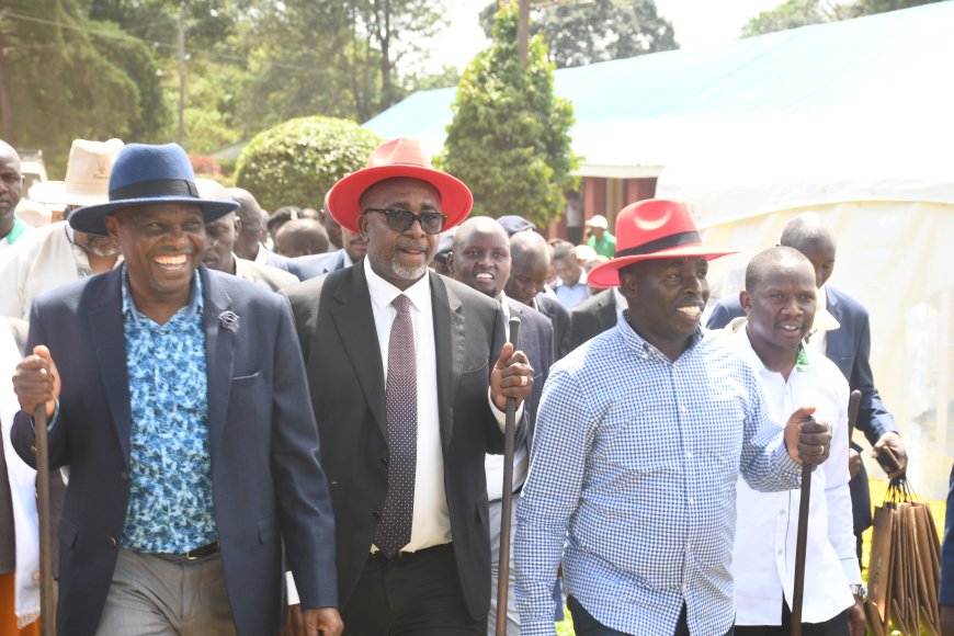 Government waived sexed semen to double milk production, says CS Linturi