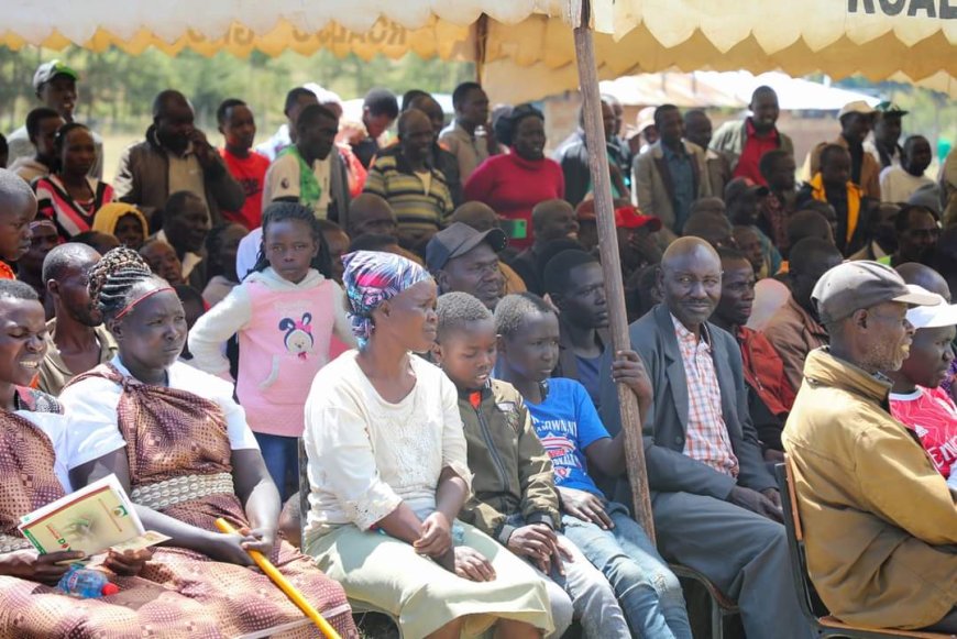 Farmers in Elgeyo Marakwet earn 15 million from sorghum and pyrethrum