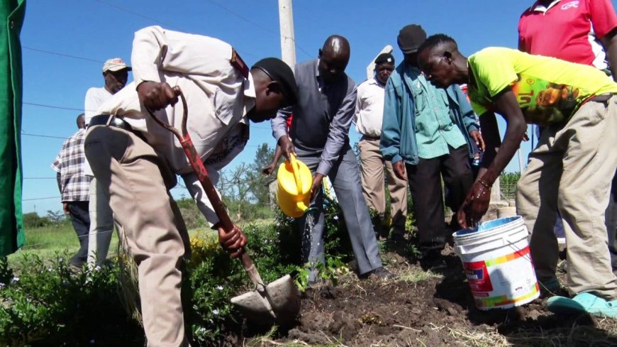 Campaign to Green the Bare Malaa Area Launched