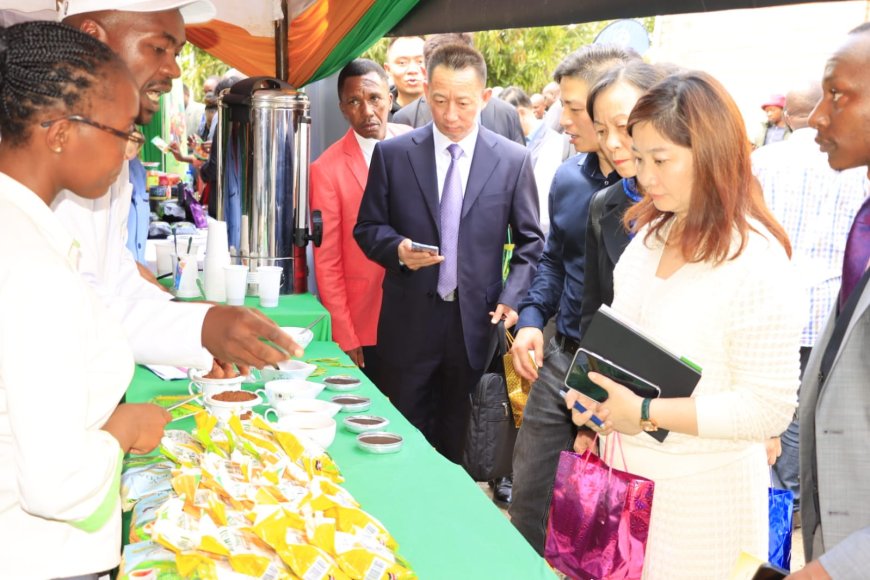 Murang’a tea, and coffee farmers slated to benefit in a proposed Chinese pact