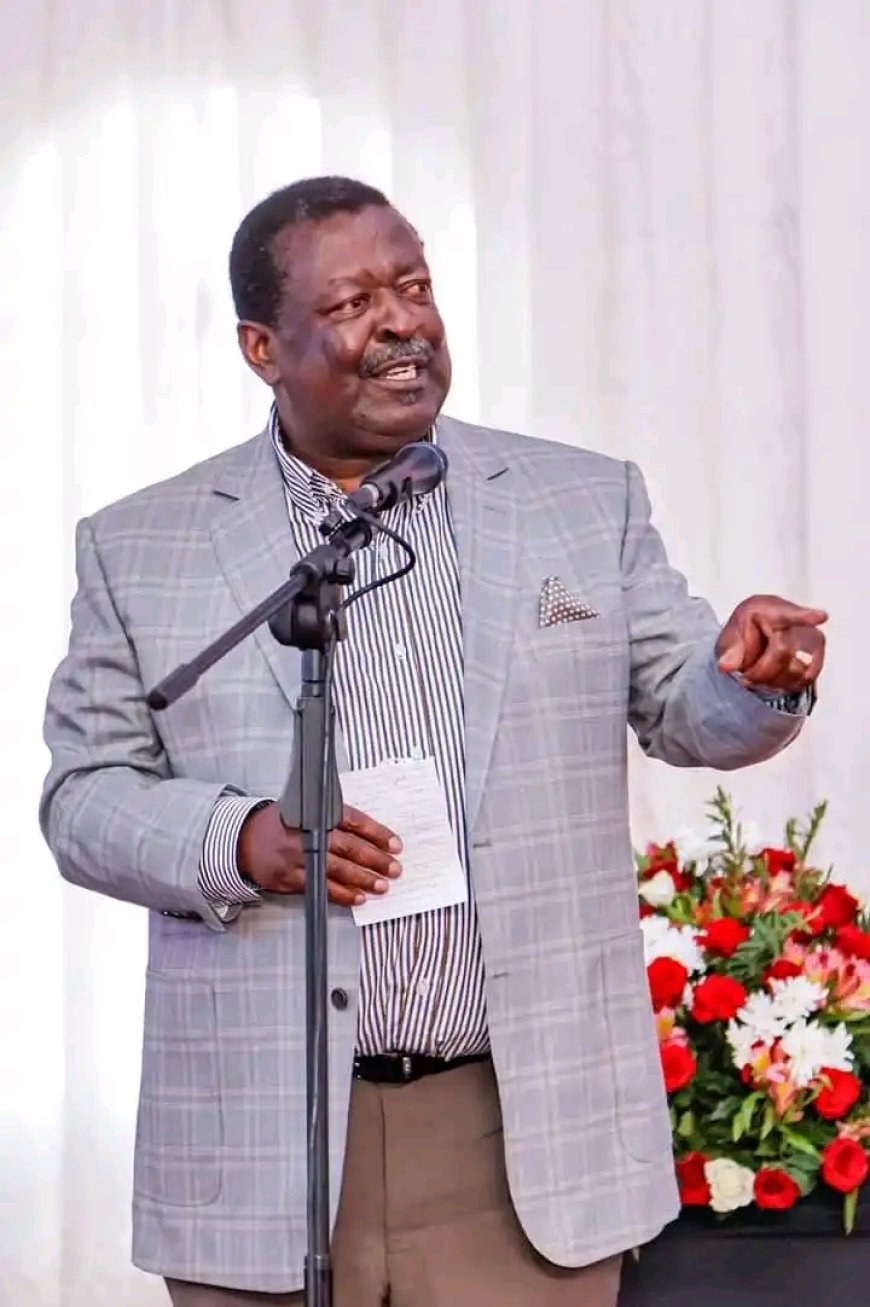 Give NADCO report a chance, urges Mudavadi