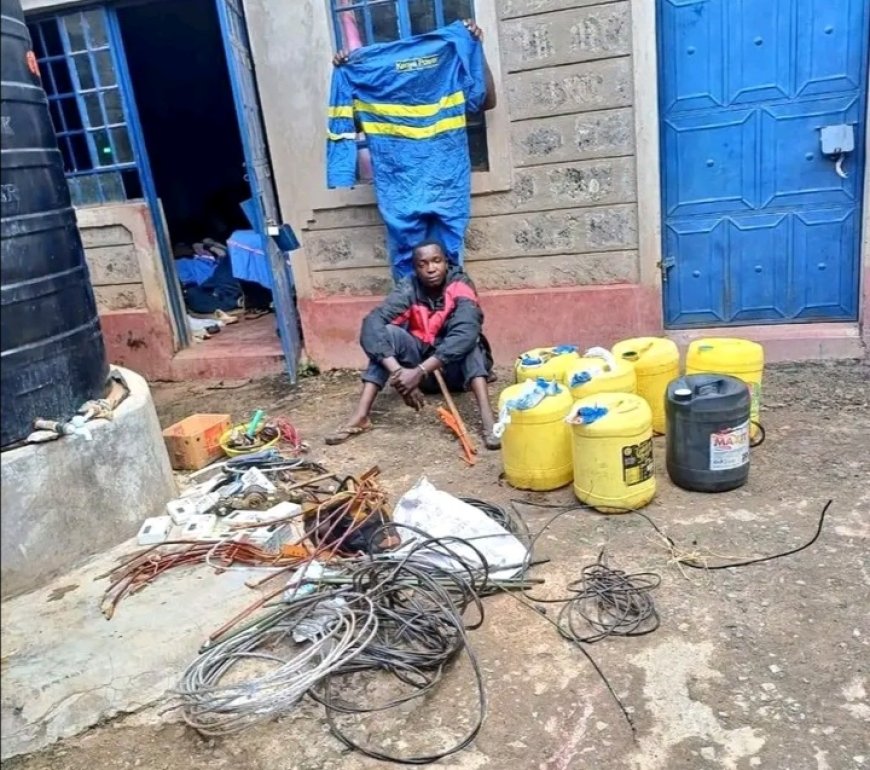 Suspect of KPLC transformer vandalism arrested