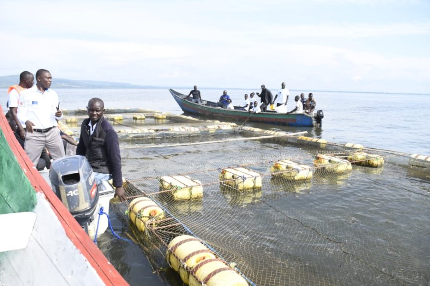 EU gives six million shillings grant to Migori Fishing Community