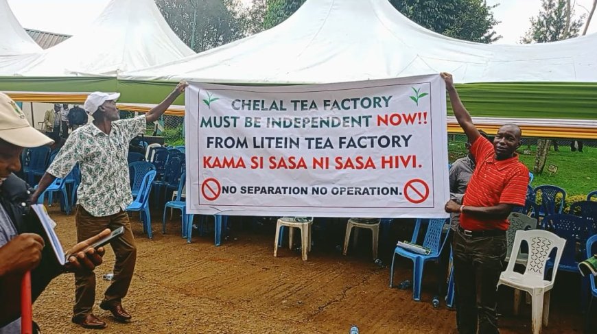 Chelal Tea Factory farmers want to be delinked from Litein Tea factory