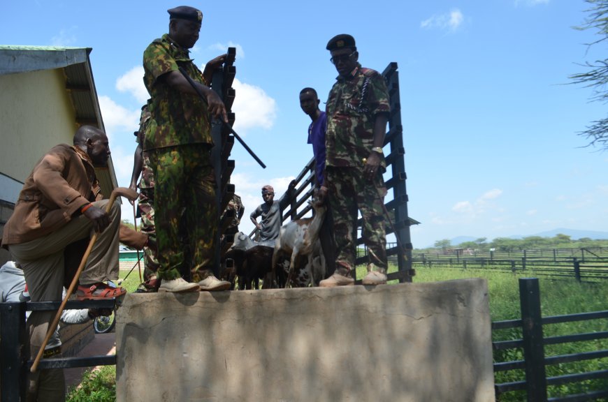 Police recover 22 goats stolen four months ago