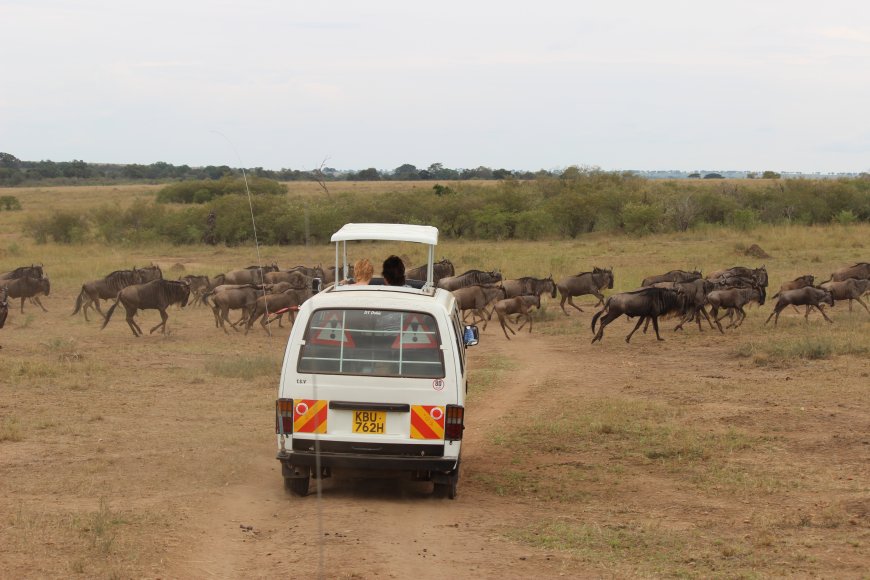 Hotel at the Mara reaping big this festival season