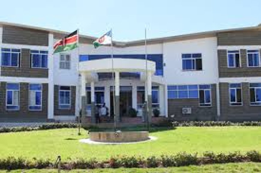 County Staff Protest over Delayed December Salary