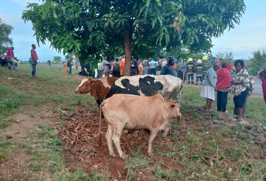 Two suspected livestock thieves lynched by angry Murang’a villagers