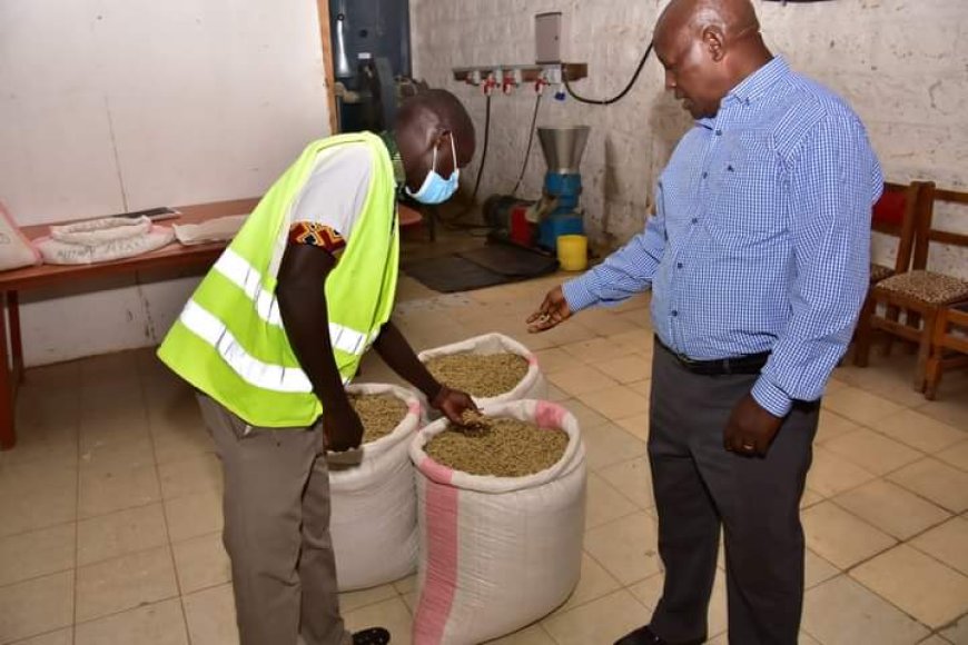 Nyeri to unveil Sh 500 million agriculture value chain project