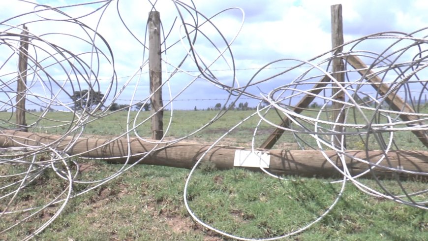 Power line collapse in Nkaretta following heavy downpour