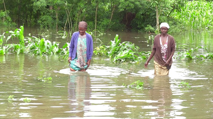 How over 250 Budalang’i families in camp juggle between IDP lives and Waterborne disease