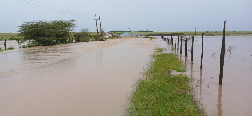 Heavy rainfall expected this weekend