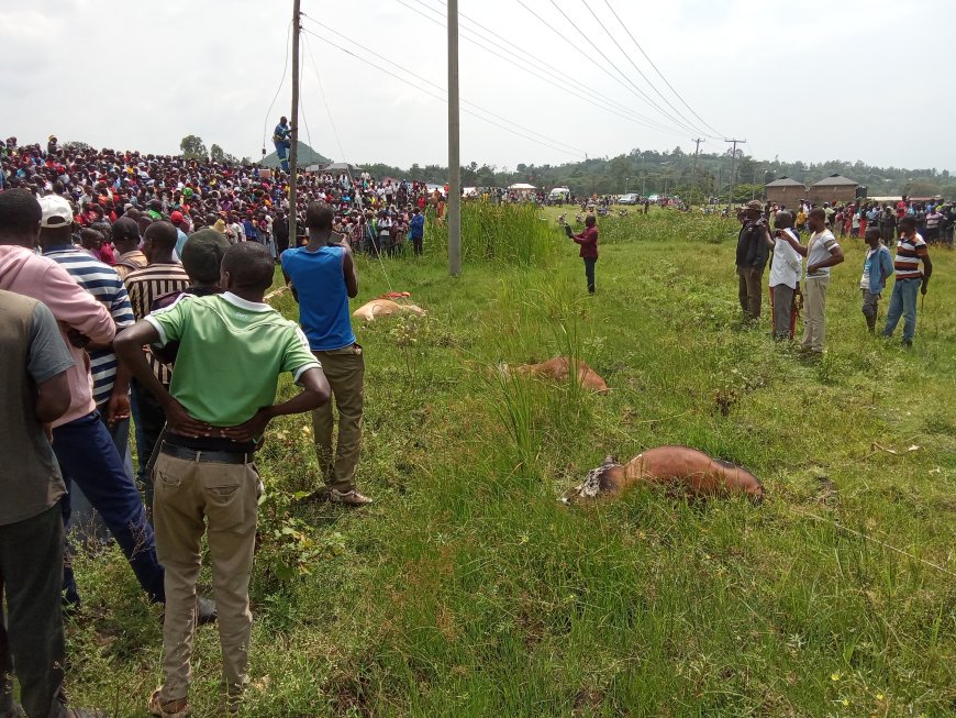 Live Electric Wire Claims Life of Trader