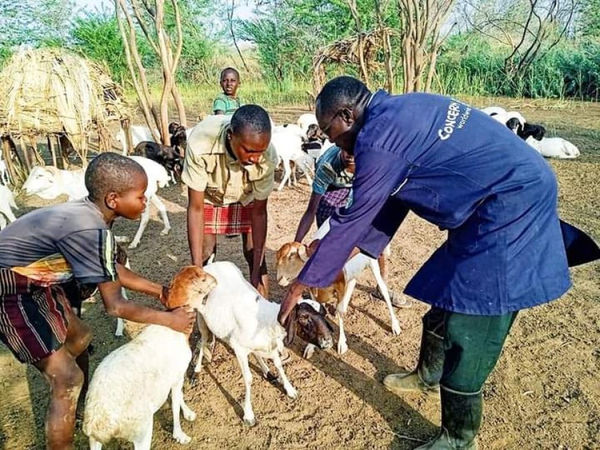 County, NGO conducts mass livestock vaccination in Suguta Sub-county