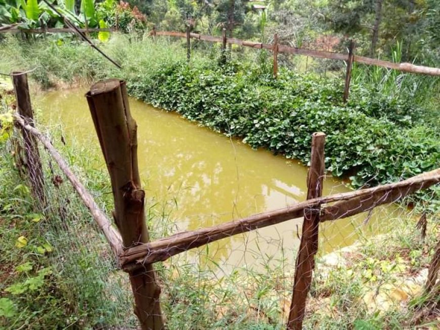 Farmers urged to conserve rainwater for use in dry months