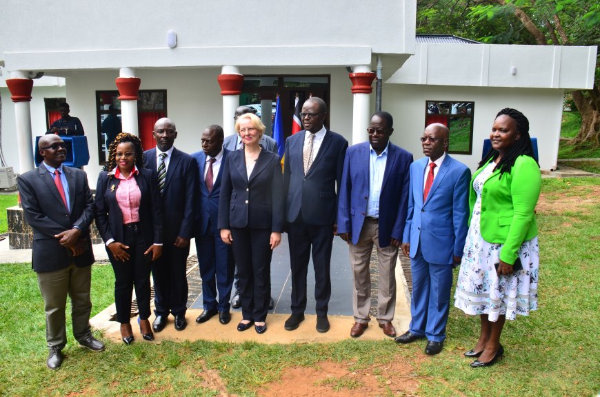 Romania to explore opportunities in ICT and agriculture in Migori County