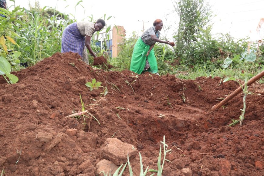 4k Club in schools using carbon beds to fighting Climate change