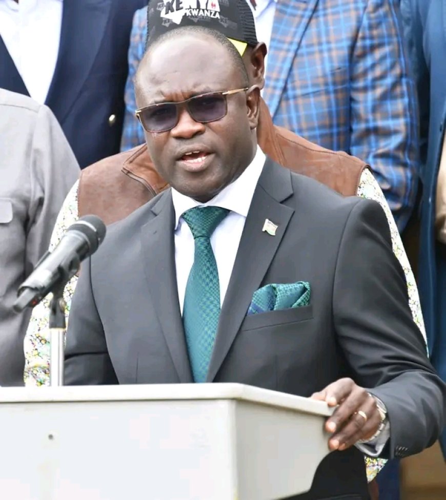 Stop blanket condemnation of judiciary, MP urges Ruto, Gachagua