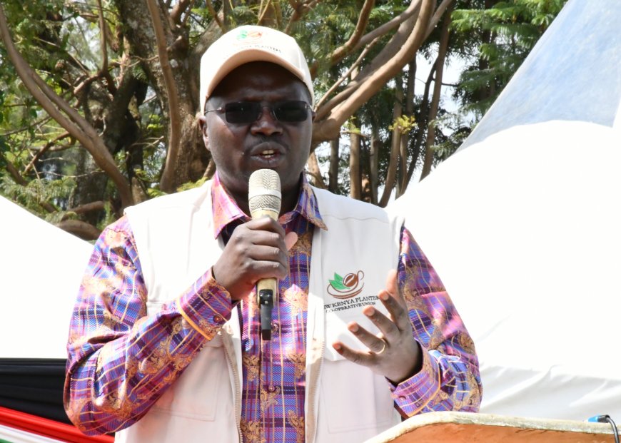 The State will not relent on Coffee reforms, CS Chelugui says