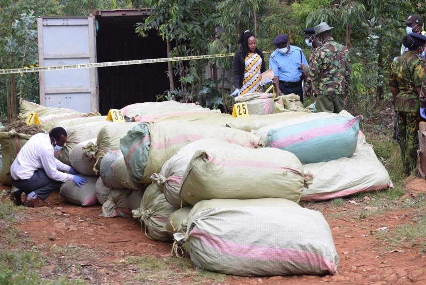 Bhang worth 30 million impounded in Nyahururu