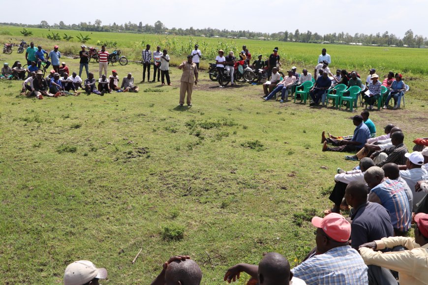 Keep-off Rice Scheme, farmers tell politicians