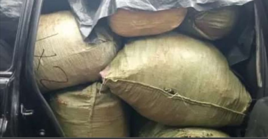 Bhang worth Ksh8.9 million seized in Siaya