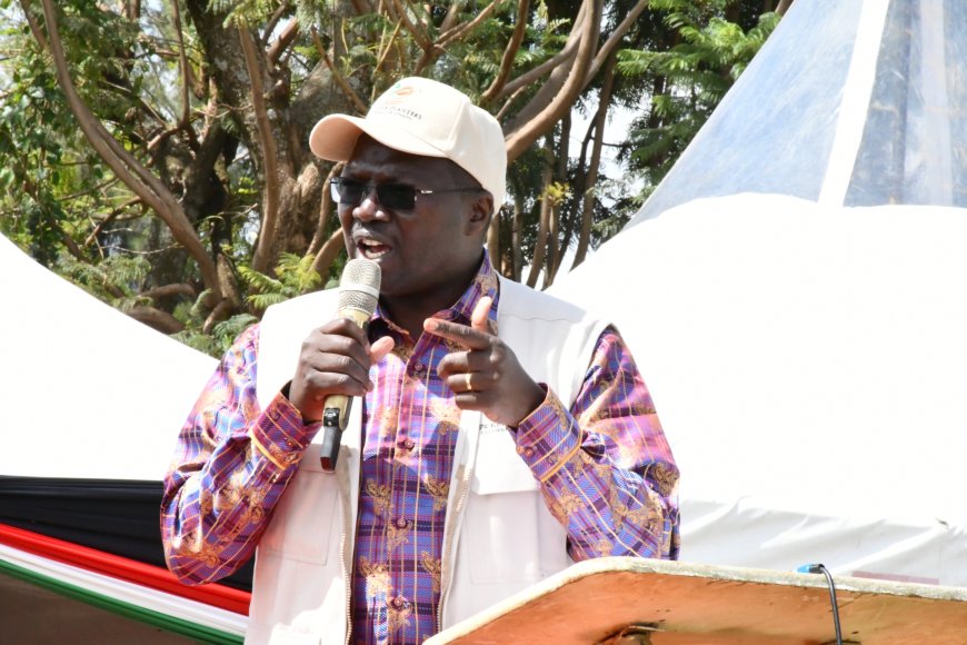 Government to install milk coolers in all wards, says CS Chelugui