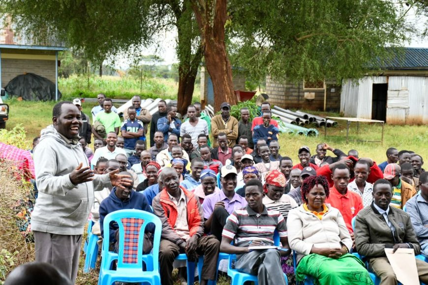 Cash Crops Revolution Gains Momentum in Arror