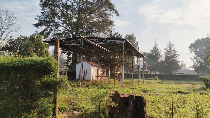 Kakamega High School embraces the use of solar power