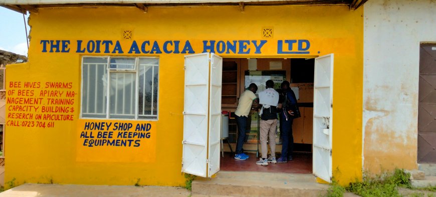 Farmers in Narok urged to venture into apiculture