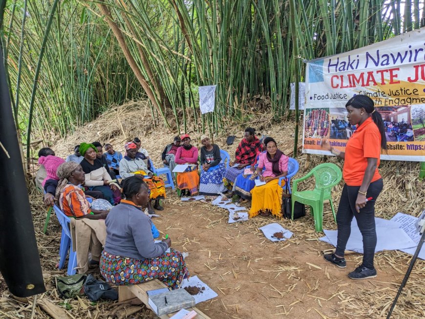 Small scale farmers focus on Indigenous seeds to enhance food security