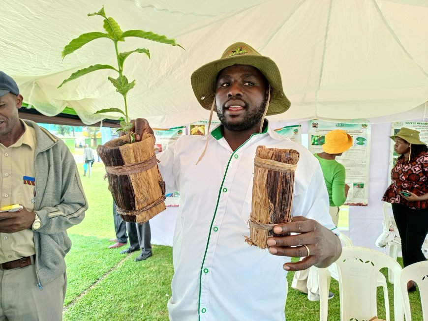 Kericho Innovator Crafts Eco-friendly polybags from banana plant stems