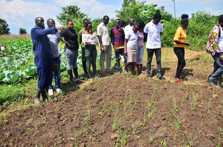 NCPB urged to open doors for purchase of maize in Migori County