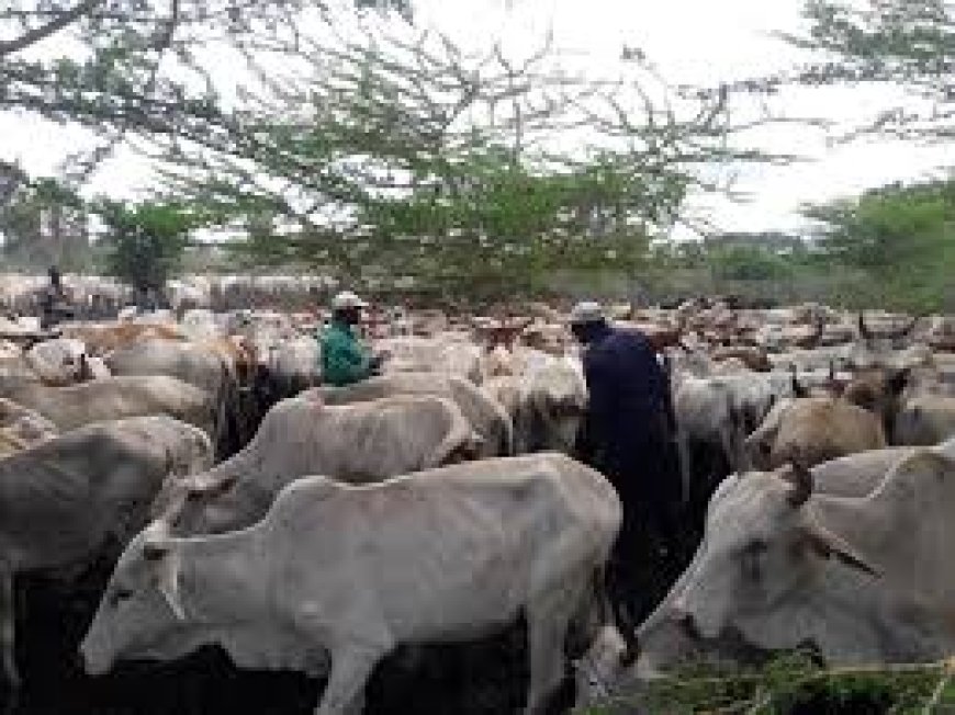 State to conduct livestock survey in 39 counties