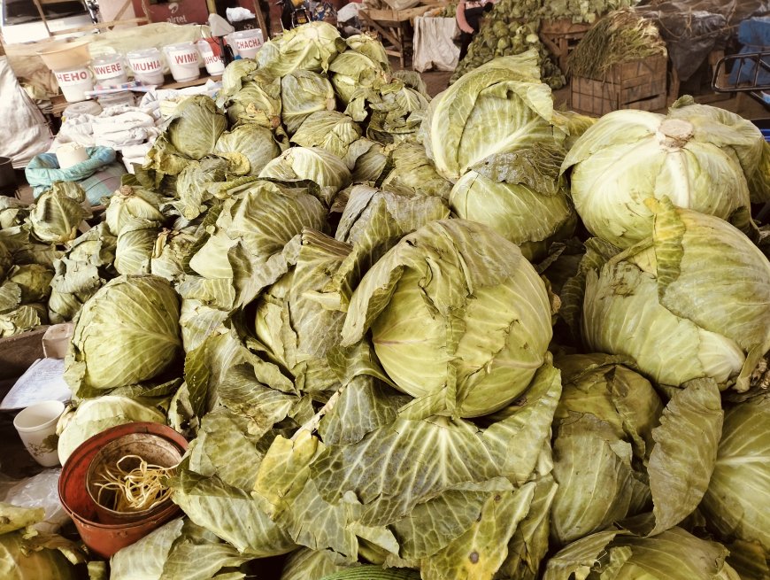 Cabbage shortage hits the market as supply drops