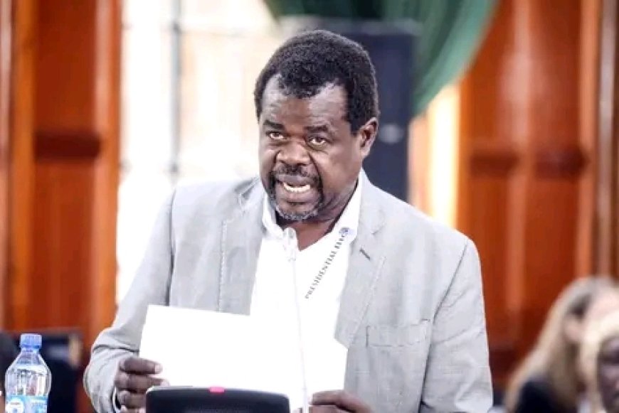 Okiya Omtata akosoa mfumo mpya wa kufadhili elimu ya vyuo vikuu