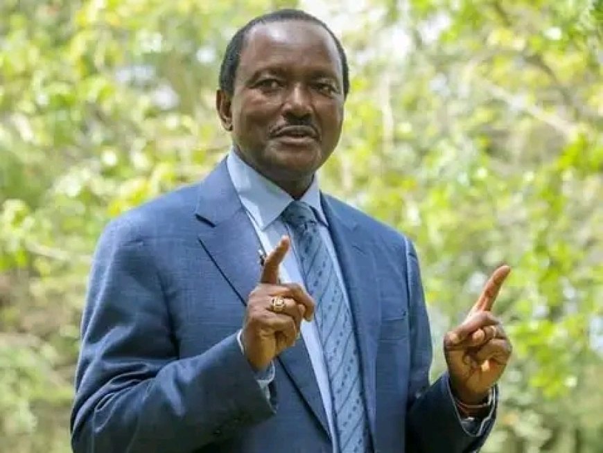 Kalonzo Musyoka atangaza kuwania urais 2027