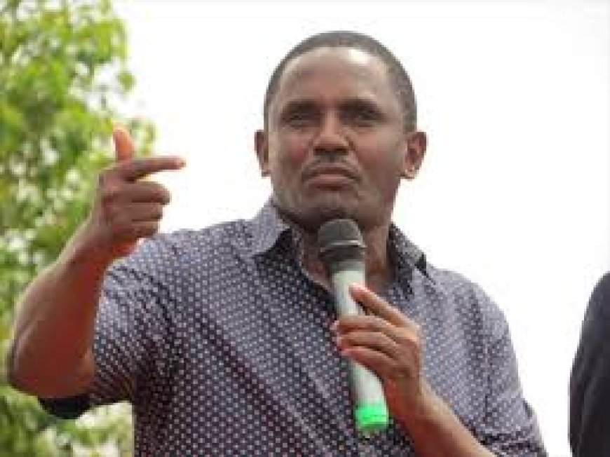 Gem MP: ODM members were given critical ministries