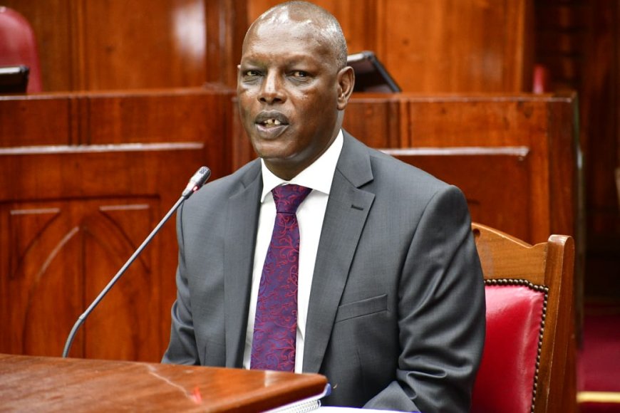 Agriculture CS nominee responds to Linturi links