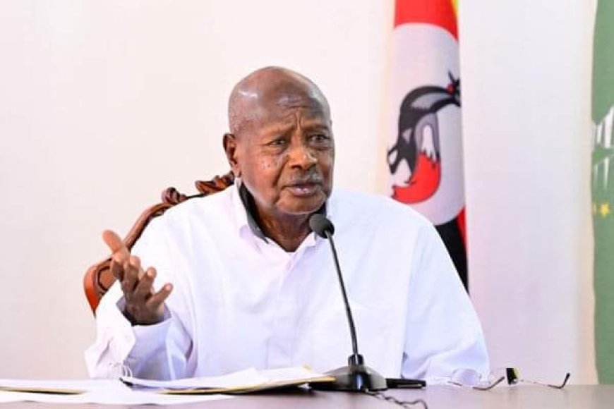 Museveni calls out Babu Owino for ‘inciting chaos’ in Uganda