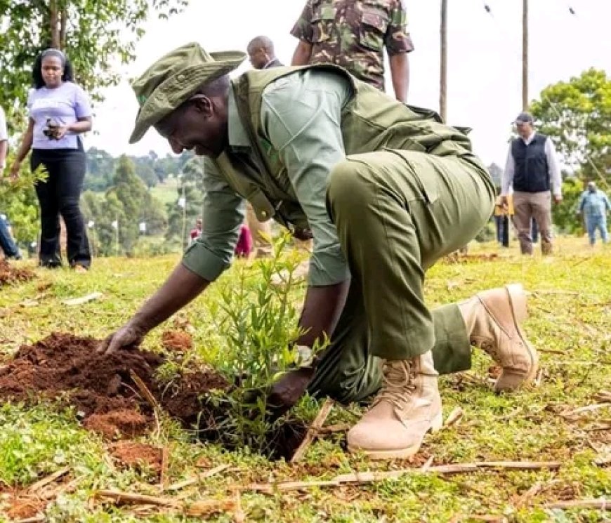 Wabunge Wataka Wigo wa Juhudi Kuzidishwa  Chini ya Sheria Iliyorekebishwa ya NG-CDF