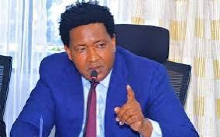 Senator Ledama Olekina criticizes government performance