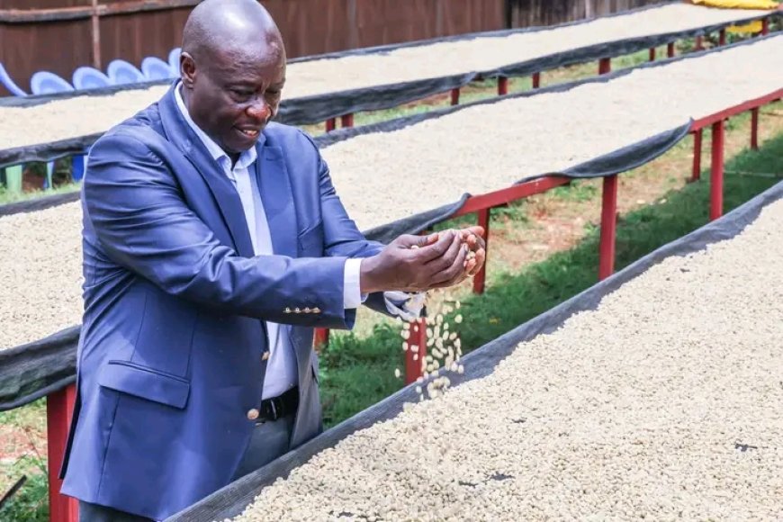 Reforms in the coffee subsector gain steam