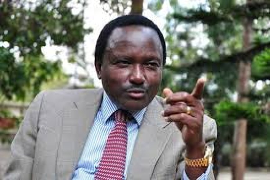 Kalonzo decries abductions