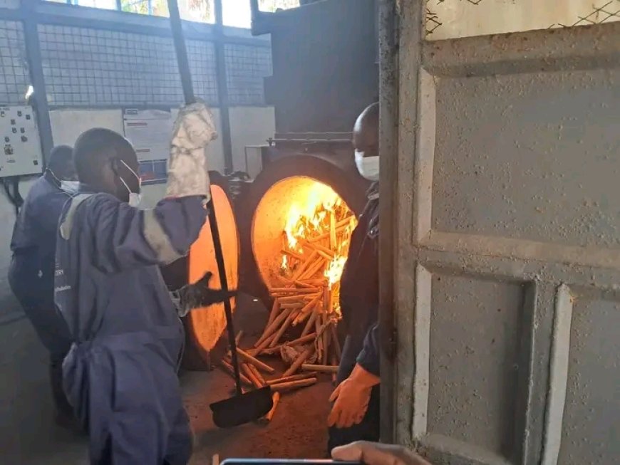 Detectives incinerate Bhang worth over Ksh.13 million