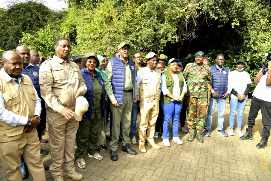 CS Duale reveals number of trees planted since January